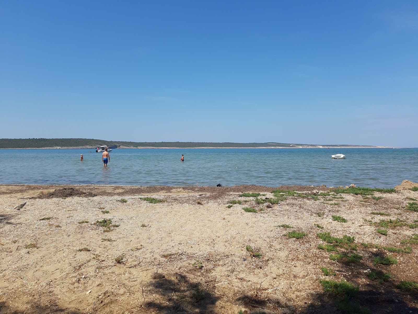 Ljubac beach II'in fotoğrafı düz bir kıyı şeridi ile birlikte