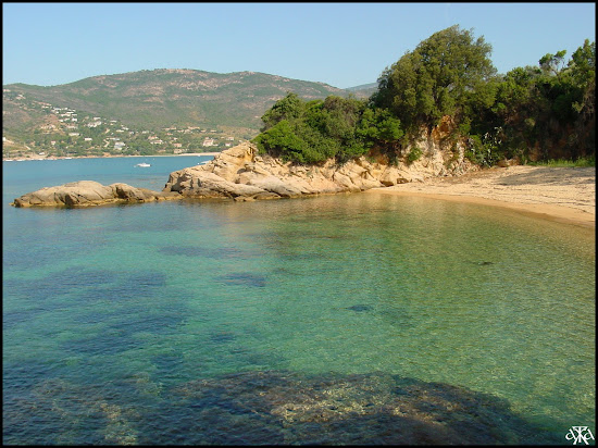 Albellu cruises