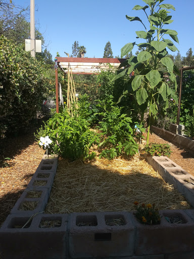 Escondido Community Garden