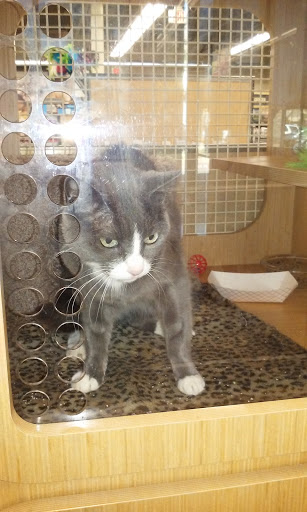 Pet Supply Store «Petco Animal Supplies», reviews and photos, 3454 Palmer Dr #7a, Cameron Park, CA 95682, USA