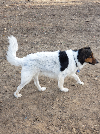 Dog Park «Morley Field Dog Park», reviews and photos, Morley Field Dr & Alabama St, San Diego, CA 92104, USA