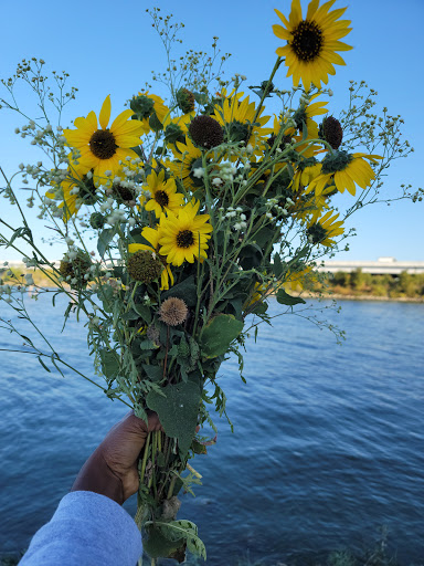 Nature Preserve «Rowlett Creek Preserve», reviews and photos, 2525 Castle Dr, Garland, TX 75040, USA