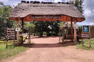 Lilongwe Wildlife Centre image
