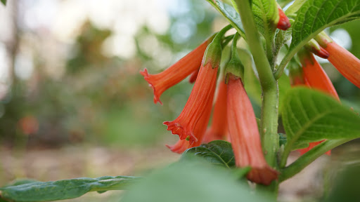 Shopping Mall «Union Square, San Francisco», reviews and photos, 333 Post St, San Francisco, CA 94108, USA