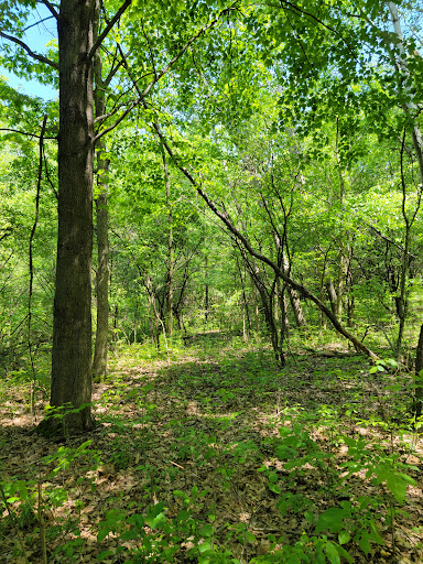 Nature Preserve «Lost Lake Nature Preserve», reviews and photos, Evans Rd, Holly, MI 48442, USA