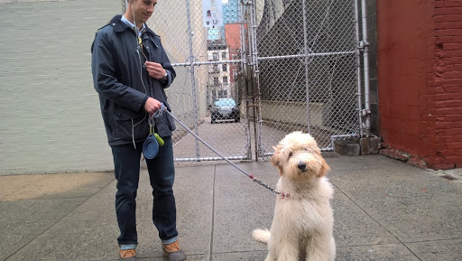 Playground «Bailey Playground», reviews and photos, Major Deegan Expy, Bronx, NY 10463, USA