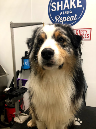 Home Improvement Store «Tractor Supply Co.», reviews and photos, 4601 E Grand River Ave, Howell, MI 48843, USA