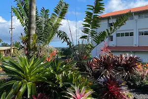 Botanical Garden at University of Hawaii - Hilo image