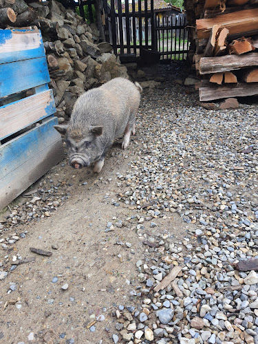 HOPLA GEISS à Steinbrunn-le-Bas