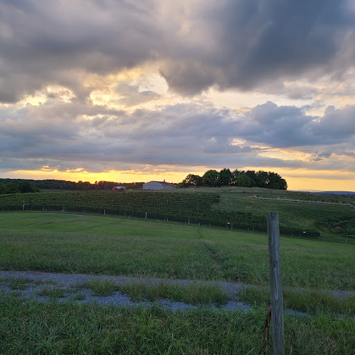 Brewery «Red Shedman Farm Brewery», reviews and photos, 13601 Glissans Mill Road, Mt Airy, MD 21771, USA