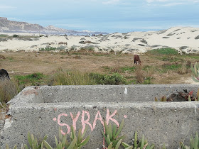 SYRAK