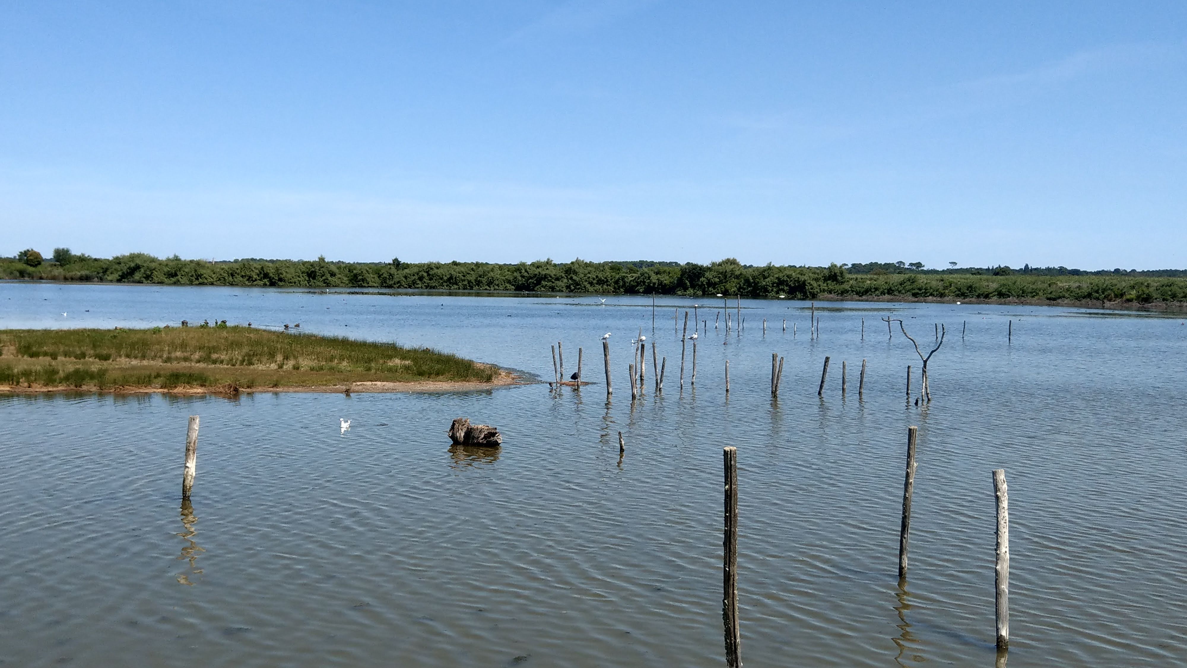 Photo n° 2 de l'avis de P..i fait le 11/08/2018 à 15:53