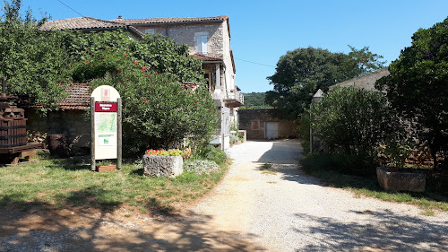 Domaine vigne - Vin Bio en Ardèche - Organic Wine à Lagorce