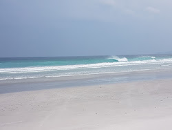 Photo de Seymour Beach avec un niveau de propreté de très propre