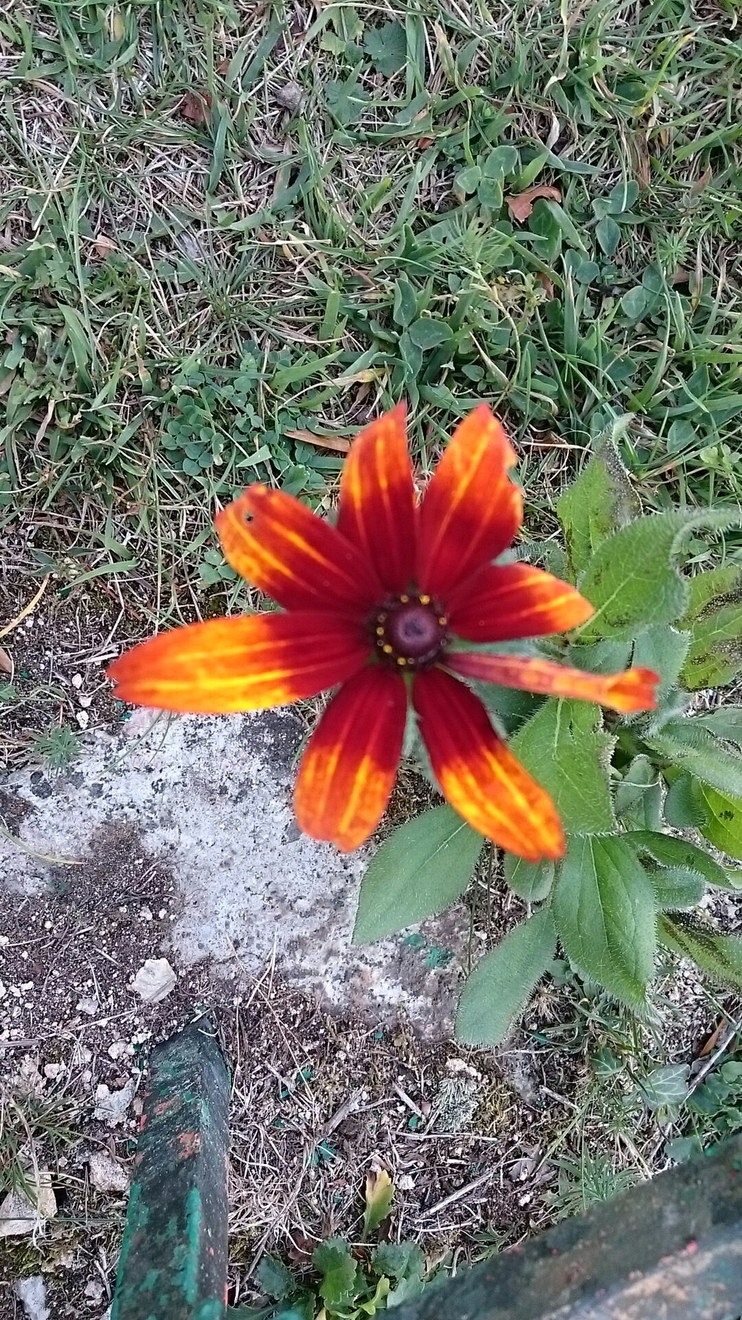 Photo n° 4 de l'avis de Sir.e fait le 13/05/2019 à 14:24