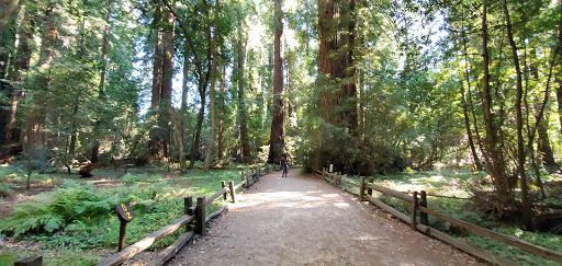 Amusement Park «Roaring Camp Railroads», reviews and photos, 5401 Graham Hill Road, Felton, CA 95018, USA