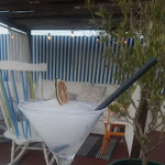 Photo n°3 de l'avis de J.a fait le 12/08/2022 à 11:09 sur le  Festa Da Praia à Albufeira