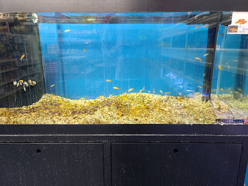 Pet Supply Store «Pet Supermarket, Inc.», reviews and photos, 598 N McCarran Blvd, Sparks, NV 89431, USA