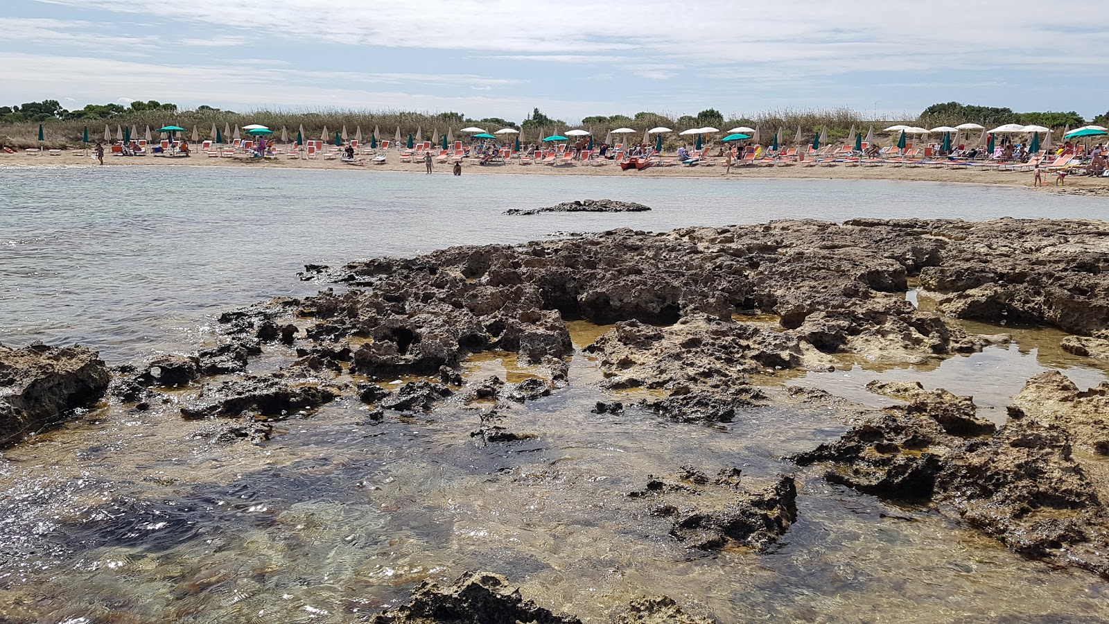 Fotografie cu Torre Santa Sabina beach amplasat într-o zonă naturală