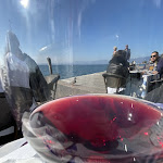 Photo n°5 de l'avis de Mitch. fait le 01/11/2021 à 06:42 sur le  Bar Miralago à Bardolino