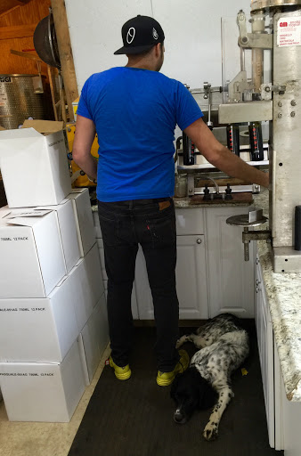 Winery «Turdo Vineyards», reviews and photos, 3911 Bayshore Rd, Cape May, NJ 08204, USA