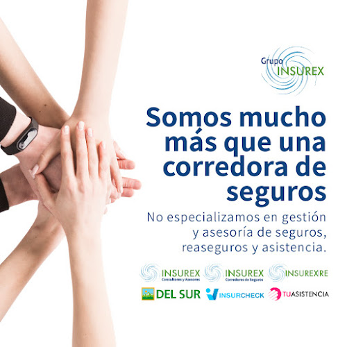 Grupo INSUREX - Providencia