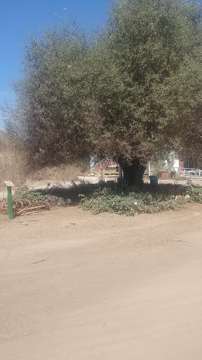 Museum «Heritage Museum of Orange County», reviews and photos, 3101 W Harvard St, Santa Ana, CA 92704, USA