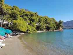 Photo de Love Bay zone des équipements