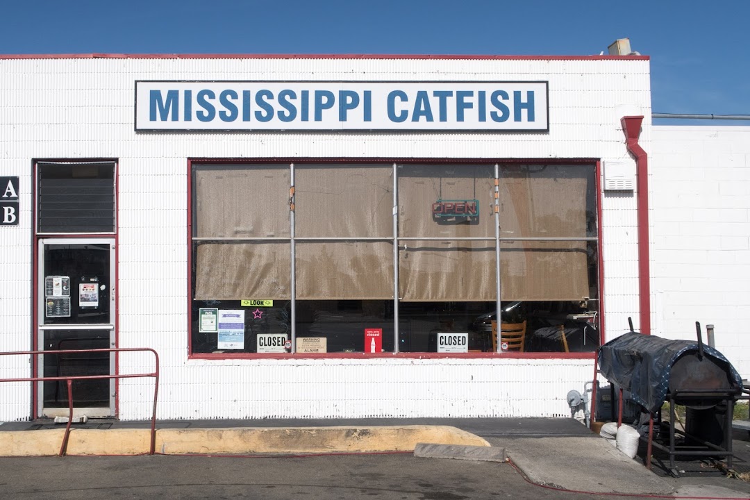 Mississippi Catfish