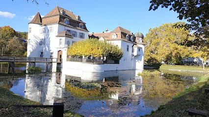 Bottmingen, Schloss