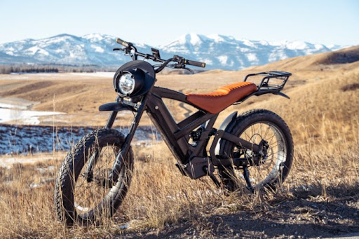 Wilderbike shop front