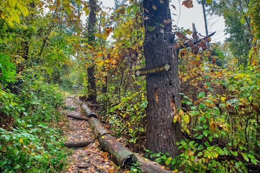 Nature Preserve «Westmoreland Sanctuary», reviews and photos, 260 Chestnut Ridge Rd, Mt Kisco, NY 10549, USA