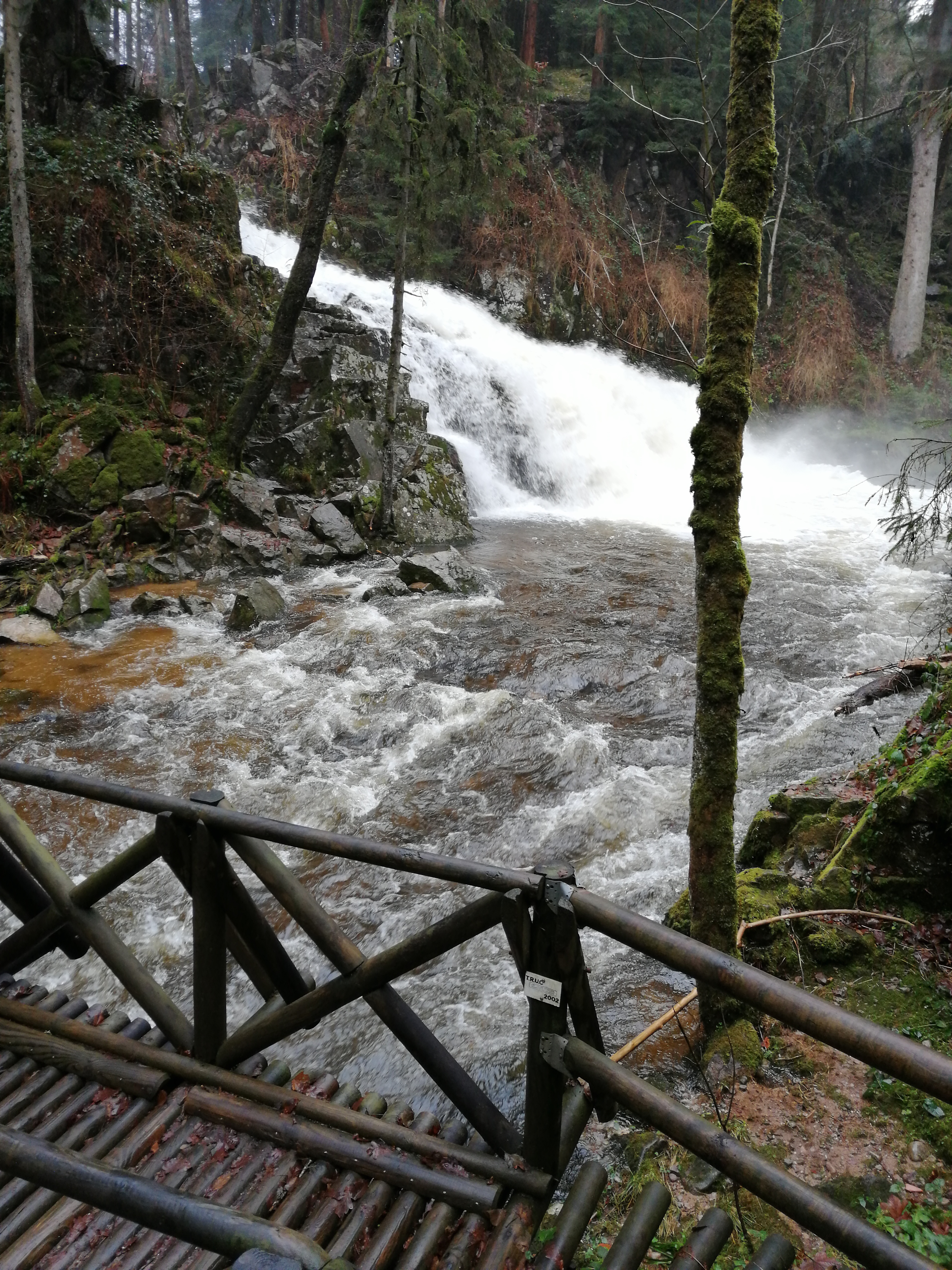 Photo n° 4 de l'avis de fabrice.a fait le 26/12/2019 à 21:13