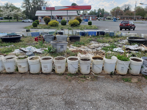 Grocery Store «World Wide Food Market», reviews and photos, 5623 Williamson Rd, Roanoke, VA 24012, USA