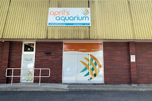 April's Aquarium image
