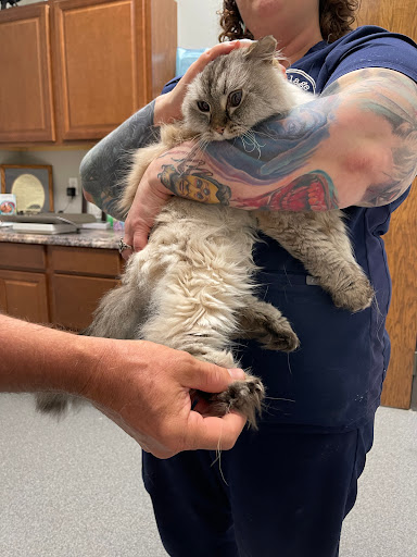 3750 W Robinson St #160, Norman, OK 73072, USA