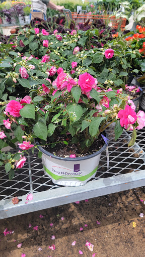 Home Improvement Store «The Home Depot», reviews and photos, 3001 Plainfield Rd, Joliet, IL 60435, USA