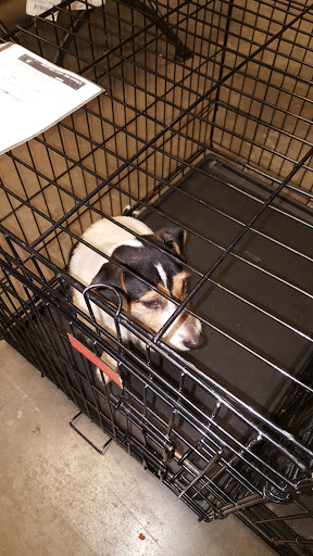 Pet Supply Store «PetSmart», reviews and photos, 215 N Burkhardt Rd, Evansville, IN 47715, USA