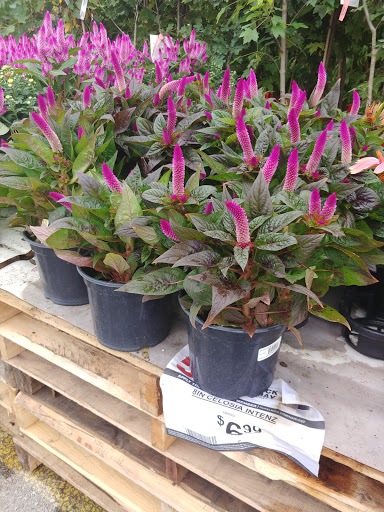 Department Store «Rural King», reviews and photos, 2960 E 10th St, Jeffersonville, IN 47130, USA