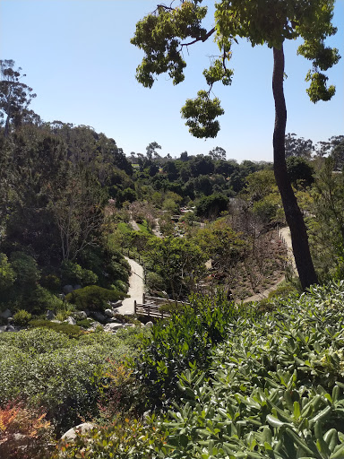 Spanish Restaurant «Cafe Sevilla of San Diego», reviews and photos, 353 Fifth Ave, San Diego, CA 92101, USA