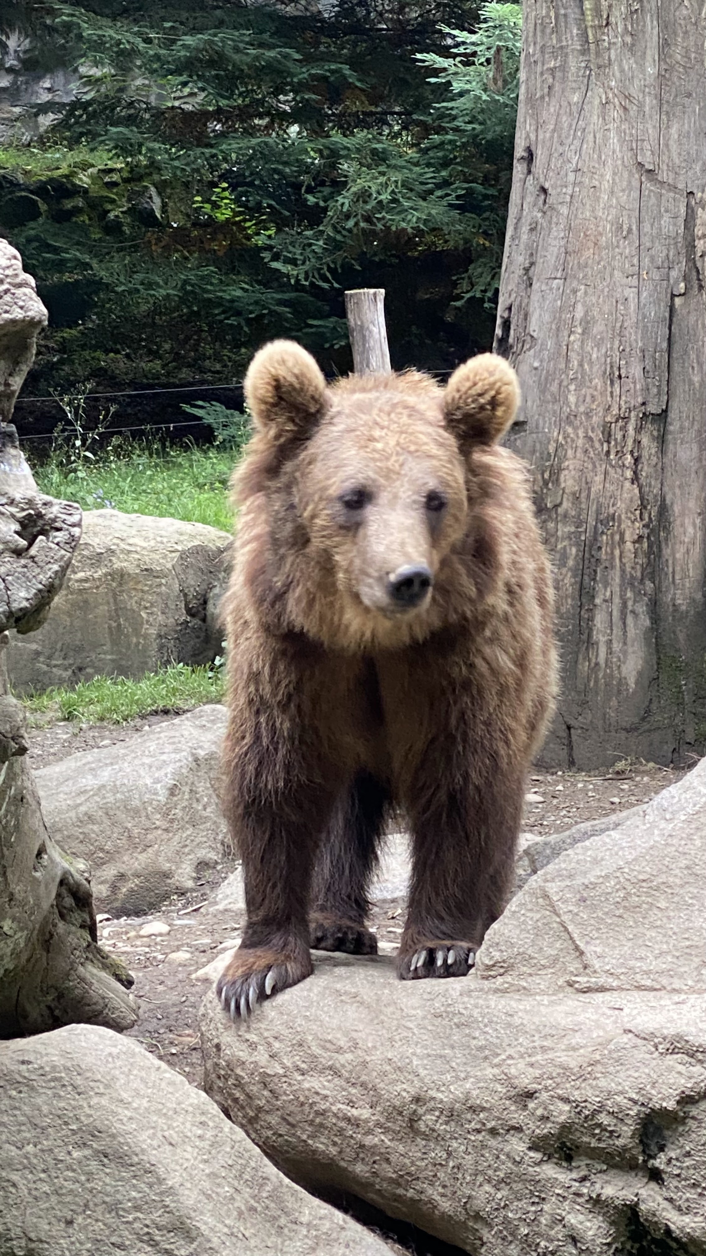 Photo n° 5 de l'avis de Jérémie.o fait le 10/07/2021 à 20:40