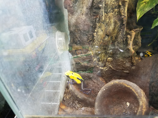 Reptile Store «MOC Reptiles», reviews and photos, 643 NE 125th St, North Miami, FL 33161, USA