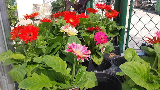 Hardware Store «Jeds Hardware», reviews and photos, 5415 Aldine Mail Rte Rd, Houston, TX 77039, USA