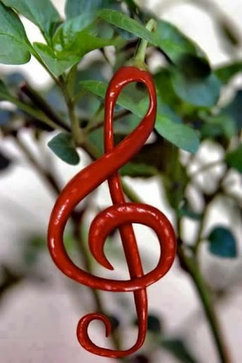 Dry Cleaner «Carwood dry Cleaners», reviews and photos, 4160 Woodruff Ave, Lakewood, CA 90713, USA