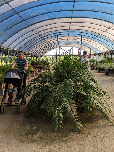 Plant Nursery «HOUSTON PLANTS & GARDEN WORLD», reviews and photos, 16726 North Fwy, Houston, TX 77090, USA