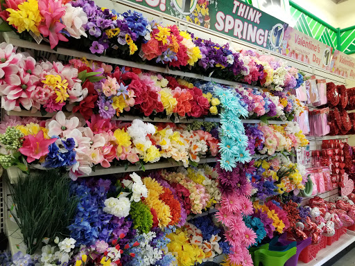 Dollar Store «Dollar Tree», reviews and photos, 3103 111th St #115, Naperville, IL 60564, USA