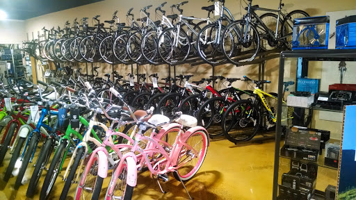 Bicycle Store «Trek Bicycle Store of Middletown», reviews and photos, 500 Route 35 #578, Red Bank, NJ 07701, USA