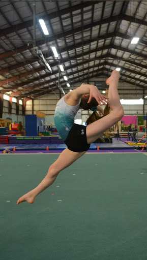 Camp «Asheville Community Movement», reviews and photos, 812 Riverside Dr, Asheville, NC 28804, USA