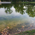 Photo n°7 de l'avis de Marco.r fait le 09/10/2018 à 17:17 sur le  Gaststätte Goldbachsee à Sindelfingen