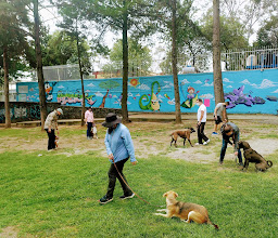 Club de Adiestramiento Canino las águilas photo